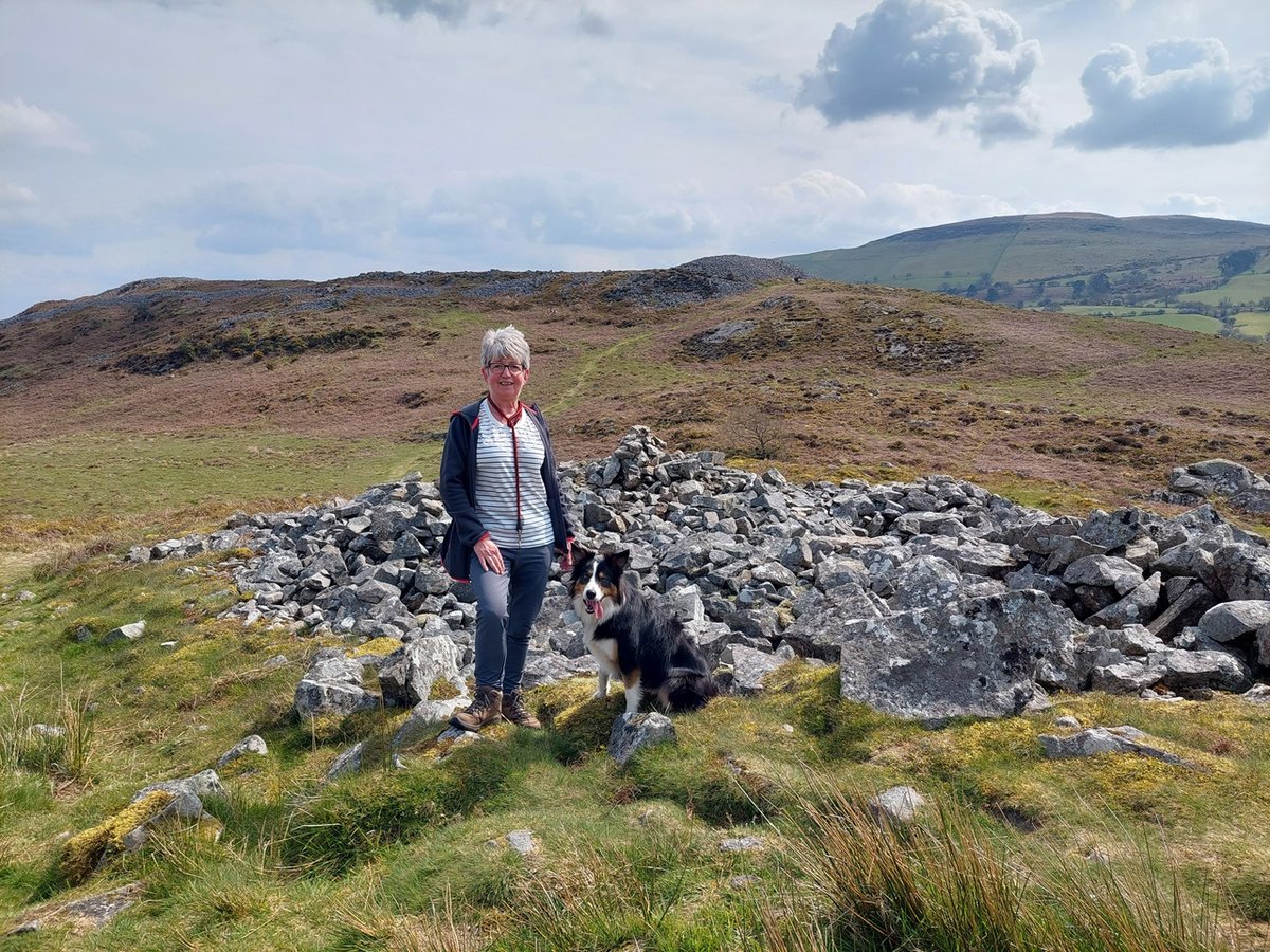 The @HeartWalesTrail gets the seal of approval from these favourite companions who highly recommend taking your 'hoomans' out for a walk on the Trail during #WalkYourDogMonth 📸🐕 Honey in #Llandrindod 📸🐕 Gwen on #GarnGoch