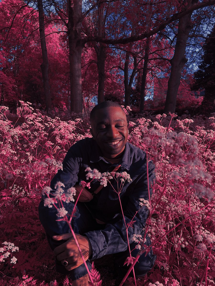 TADI THE GREAT tweet media