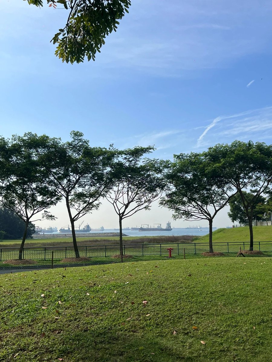 rem49er's tweet image. Playing golf brings me a unique combination of relaxation, challenge, and camaraderie.🏌️‍♀️