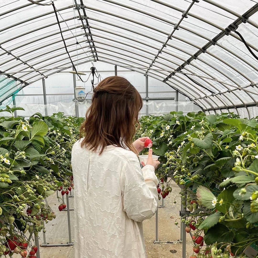 cosupa_tabi's tweet photo. 今年こそ行きたい！いちご狩り🍓
地域ごとにご紹介するよ！

【滋賀県】
・ROCK BAY GARDEN(草津市)
・鹿深いちご園(甲賀市)
・小杉豊農園(東近江市)
・まさみ農園(米原市)
・いちご園 フェリーチェ(野洲市)
・近江舞子いちご園(大津市)
・T-BERRY FARM(東近江市)
・strawberryfactory(草津市)
・道の駅 草津 ロックべガーデン(草津市)
・Bon Garden(近江八幡市)
・純野菜王国 いちご狩り(長浜市)

【京都府】
・モモタ農園(京都市山科区)
・ベリーファーム宇治(宇治市)
・おさぜん農園(八幡市)
・いちごハウス・ブリティッシュガーデン(八幡市)
・華やぎ観光農園(相楽郡精華町)
・Farmおかよし(京丹後市)
・上杉農園(八幡市)
・みどり農園(井手町)
・ブリティッシュ・ガーデン八幡農場(八幡市)
・丹後王国フルーツガーデン(京丹後市)

【大阪府】
・いずみ小川いちご農園(和泉市)
・きしかん(岸和田市)
・大阪府立農業公園 かいづか いぶきヴィレッジ(貝塚市)
・GrandBerry(八尾市)
・ハーベストの丘(堺市南区)
・いちごの堺(堺市)
・Strawberry FarmNo.15 by the Farm UNIVERSAL(茨木市)
・橘農園(阪南市)
【兵庫県】
・神戸うららか・のうえん 実里(三木市)
・神戸うららか・つみつみ園(三木市)
・VERY BELLY FARM 西脇(西脇市)
・姫路ハートフル観光農園(姫路市)
・新さんだ農園いな岡(三田市)
・淡路島フルーツ農園(淡路市)
・グリナリウム淡路島(淡路市)
・幸せのいちご農園(淡路市)
・淡路ファームパーク イングランドの丘(南あわじ市)

【奈良県】
・あすかいちご狩りパーク(高市郡明日香村)
・下村ベリー園(五條市)
・いちご農園フラウラファーム(天理市)
・ハッピーイチゴランド(磯城郡田原本町)
・大和苺パーク(大和郡山市)
・あだみね高原ファーム(五條市)
・オノウエ農園~strawberryfarm"Ruby"~(高市郡明日香村)
【和歌山県】
・いちご農園サクラファーム(紀の川市)
・観光農園ひだか(御坊市)
・strawberry farm まあと工房(日高郡みなべ町)
・かつらぎ町のフルーツ狩り(伊都郡かつらぎ町)
・農園・紀の国(御坊市)

【鳥取県】
・苺工房たけうち(鳥取市)
・小林農園(東伯郡湯梨浜町)
・松山農(東伯郡湯梨浜町)
・鳥取砂丘フルーツパーク(賀露町)
・ふぁんふぁんふぁーむ(鳥取市)
・水谷いちご園(鳥取市)
・メイワファームHYBRID MHY鹿野ハウス(鳥取市)
・苺工房たけうち(鳥取市)

【島根県】
・アグリみと(益田市)
・きんた農園ベリーネ(益田市)
・あかり農園(安来市)
・いちごの森 あおやま(安来市)
・空と小さな屋根の農園(益田市)
・石橋農園(安来市)
・8farm(安来市)

【岡山県】
・岡山市サウスヴィレッジ(岡山市)
・農マル園芸 あかいわ農園(赤磐市)
・吉井農園(赤磐市)
・美作農園(美作市)
・農マル園芸 吉備路農園(総社市)
・安原観光いちご園(倉敷市)

【広島県】
・白龍湖観光農園(三原市)
・豊平どんぐり農園(山県郡北広島町)
・平田観光農園(三次市)
・果実の森公園(三原市)
・おおのきファーム(廿日市市)
・いちごいちえ(広島市)
・河野園芸(尾道市)
・SMILE-LABO HIROSHIMA(三原市)
・田原観光農園(宮島市)
・平田観光農園(三次市)

【山口県】
・いちご農園 ANN(柳井市)
・観光農園ファームランド(熊毛郡田布施町)
・はあと農園(山口市)
・季節体験農場　花の海(山陽小野田市)
・おいしませファーム(山口市)
・ANN(柳井市)
・はあと農園(山口市)
・イチゴ屋けんちゃん(山口市)
・福田フルーツパーク(周南市)

【徳島県】
・いせや農場いちご園(鳴海市)
・大住いちご園(板野郡松茂町)
・苺一会縁(三好郡東みよし町)
・フルーツガーデンゆう(鳴海市)
・フルーツガーデンやまがた(鳴海市)
・TODAベリーファーム(鳴海市)
・ベリーメイトファーム(阿波市)

【香川県】
・スカイファーム(高松市)
・観光農園 森のいちご(木田郡三木町)
・道の駅 滝宮 いちご農園(綾歌郡綾川町)
・道の駅 小豆島ふるさと村(小豆郡小豆島町)

【愛媛県】
・井上苺園(今治市)
・エコファームうちこ(喜多郡内子町)
・あかまつ農園(北宇和郡鬼北町)
・ひのいちご園(西条市)
・いちご家おおもり(伊予市)
・まんまいちご園(伊予郡松前町)
・井上苺園(今治市)

【高知県】
・西島園芸団地(南国市)
・佐田農園(宿毛市)
・高知の自然歴史体験　センス・オブ・ワンダー高知(四万十市)

【福岡県】
・筑紫野いちご農園(筑紫野市)
・玄海いちご狩り農園(宗像市)
・うきは果樹の村やまんどん(うきは市)
・梶原フルーツ(うきは市)
・よかもんいちごのイチゴ狩り(うきは市)
・白木のいちご しあわせもん(小郡市)
・らいおん果実園(朝倉郡筑前市)
・ひらい観光農園(八女市)
・プーさんのいちご園(八女市)
・里の駅広川くだもの村(八女郡広川町)

【佐賀県】
・松本農園(神崎郡吉野ヶ里町)
・佐賀ベリーフォレスト(佐賀市)
・鳥栖ベリーフォレスト(鳥栖市)
・岸川農園(杵島郡白石町)
・花祭いちごの谷(杵島郡江北町)

【長崎県】
・モリヤマファーム(松浦市)
・おおむら夢ファームシュシュ(大村市)
・富崎ファーム(大村市)
・パラダイスガーデン温泉いちご園(佐世保市)
・ドラゴンフライファーム(佐世保市)
・モリヤマファーム(松浦市)

【熊本県】
・観光農園吉次園(熊本市)
・南阿蘇 岩下さんちのいちご園(阿蘇郡南阿蘇村)
・果実の国カップルズ(阿蘇市)
・南阿蘇ふれあい農園(阿蘇郡南阿蘇村)

【大分県】
・ドームいちご園(大分市)
・アクトいちごファーム(宇佐市)
・キツキテラス・浜いちご園(杵築市)

【宮崎県】
・レイクサイドレッドファーム(宮崎市)
・水間いちご園(小林市)
・南いちご農園(日南市)
・上千野観光体験果樹園 串間いちご畑(串間市)

【鹿児島県】
・竹ノ内観光農園(霧島市)
・黒羽子観光農園(鹿屋市)
・山のいちご屋さん ひがし農園(薩摩川内市)
・前田いちご園(南九州市)
・片平観光農園(日置市)
・いちごハウス木場(いちき串木野市)

【沖縄県】
・美らイチゴ 南城ハウス(南城市)
・かふうイチゴ園(国頭郡宜野座村)
・金城いちご園(国頭郡宜野座村)

他にもおすすめのいちご狩りスポットがあったらコメントで教えてね✍️