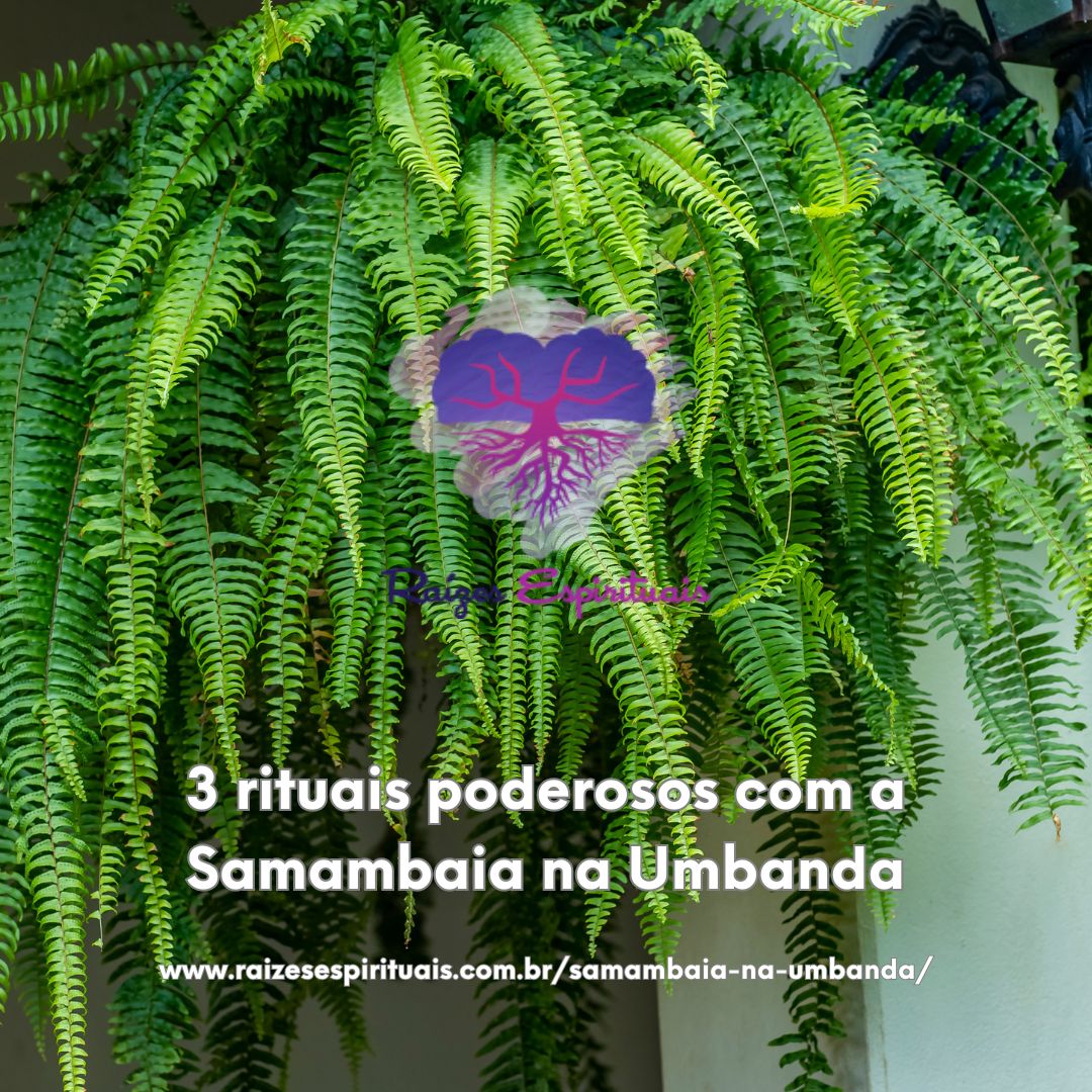 🔗Post completo: raizesespirituais.com.br/samambaia-na-u…

#RaízesEspirituais #Samambaia #BanhodeSamambaia #DefumaçãocomSamambaia #Benzimento #Defumação #BanhodeDescarga