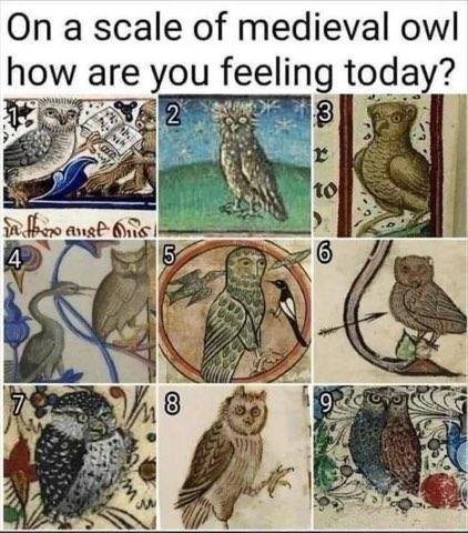 Good morning, Medieval owl transhumanism vibe check.