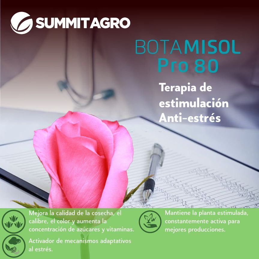 SummitAgroCL's tweet photo. Botamisol Pro, terapia de estimulación Anti - estrés. #summitagro #summitagrocolombia #bioestimulacion  
https://t.co/AiOI6HmId5 https://t.co/sDcnQac7zm