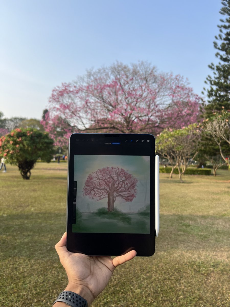 Bangalore is blushing again!! ☺️🌸