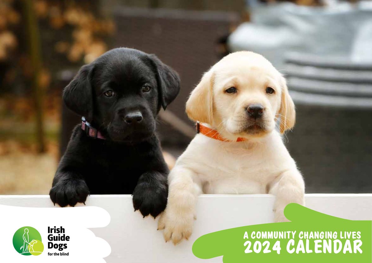 Irish Guide Dogs for the Blind tweet media