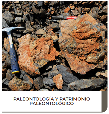 sgeologica's tweet photo. En el marco del #XICongresoGeologico2024 en #Avila hoy destacamos la sesión “Paleontología y Patrimonio Paleontológico”. Coordinada por Eduardo Mayoral y Francisco Javier Ruiz de la @Sepaleontologia y Jorge Colmenar del @IGME1849. Contribuciones hasta del 1 de febrero de 2024. https://t.co/skJXCsGST1