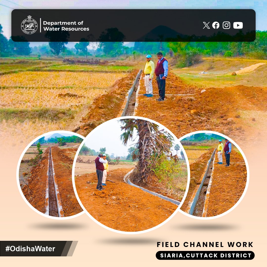 OdishaWater's tweet photo. Ongoing #FieldChannel work in Siaria, #CuttackDistrict, 138m of lined channel at O/L no. 39L in the #RightMainCanal under Hadua MIP, ensuring irrigation for 14.00 Ha. of land. #CommunityProgress #IrrigationImpact #CAD #OdishaWater
@CMO_Odisha @TukuniSahu @DC_Odisha @_anugarg https://t.co/YKV0PnWsBz