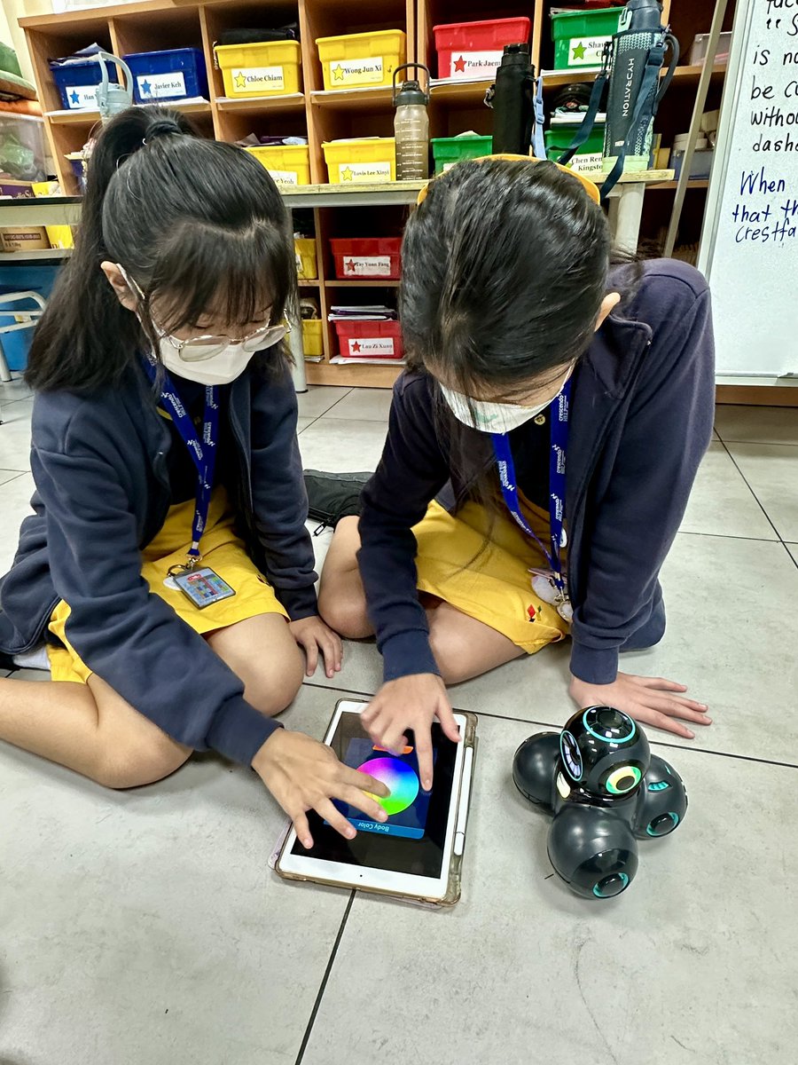 @CHISprimary tweet media