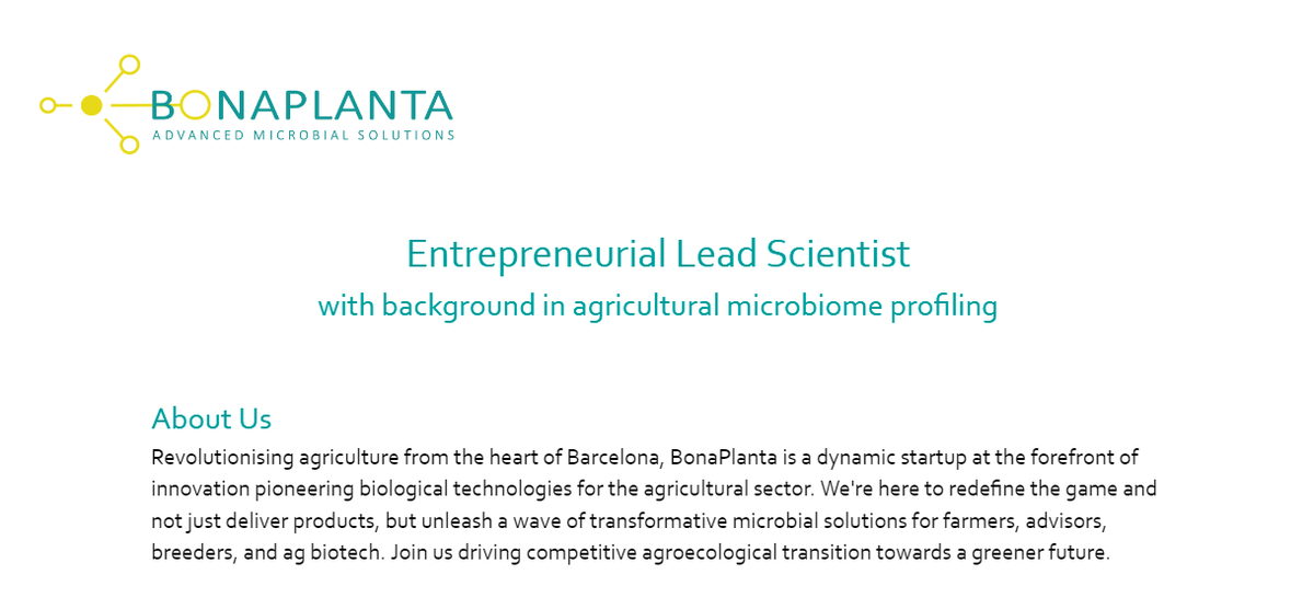 Pierre Hohmann 🇺🇦 tweet media