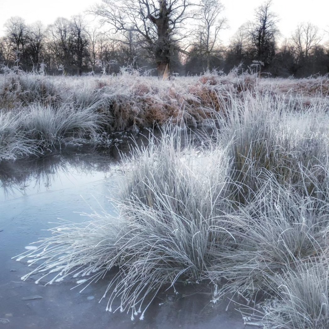 -4.5° cold but beautiful. Tuesday sunrisetime #loveukweather #teddingtonhub #nature #cold @metoffice @itvlondon @SallyWeather