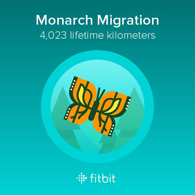 AlFaris307's tweet photo. Every year the monarch butterfly migrates that same number of kilometres to warmer climates. #badge #fitbit https://t.co/DxK3uYZPPP