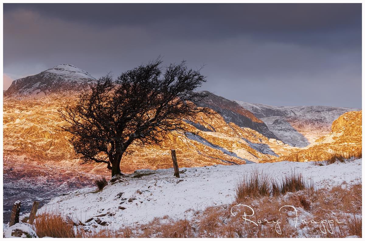 Moel yr hydd in the background on this morning’s wintery scene. #blaenauffestiniog #wales #photography