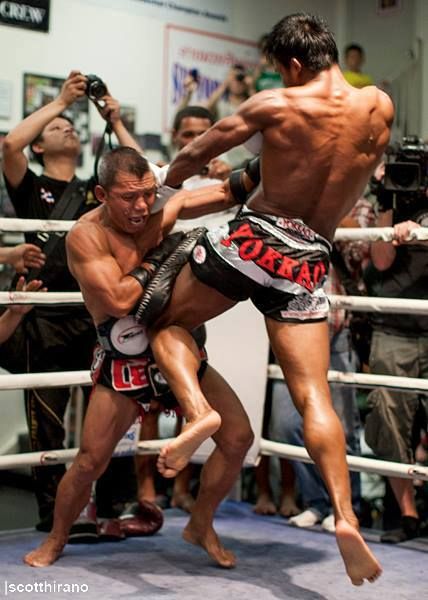 rümeysa koç tweet media