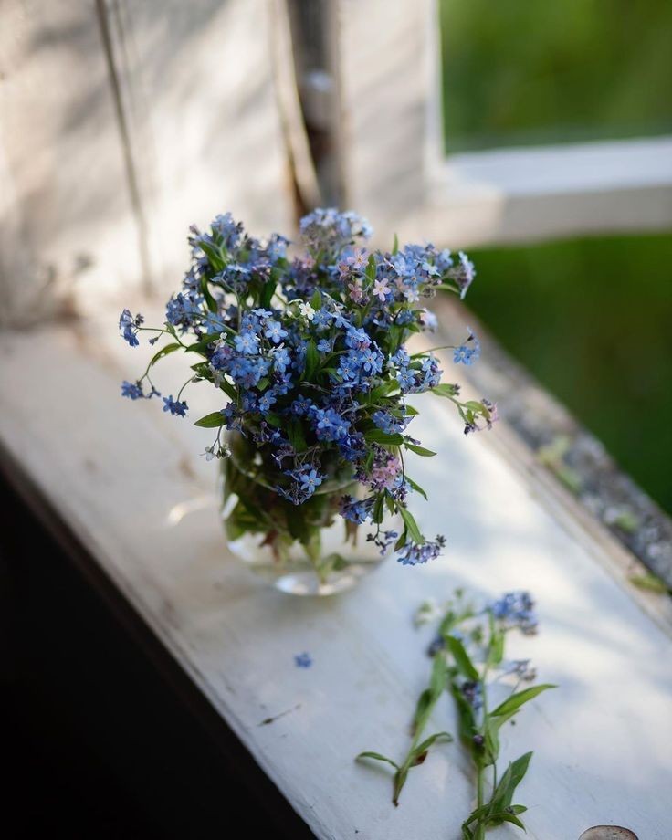 내 안의 소리가 너무 크면
타인의 소리가 들리지 않고

내 안의 마음이 너무 크면
타인의 마음이 보이지 않고

내 안의 주장이 너무 크면
타인의 주장이 와닿지 않는다

내가 너무 크면
타인과의 교류가 어려워진다

나를
겸손히 내려 놓을줄 알아야

상대방의
생각과 마음을 
받아 들일수 있다.🖋