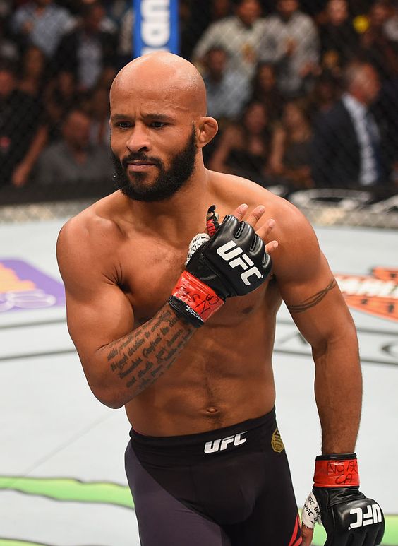 rümeysa koç tweet media