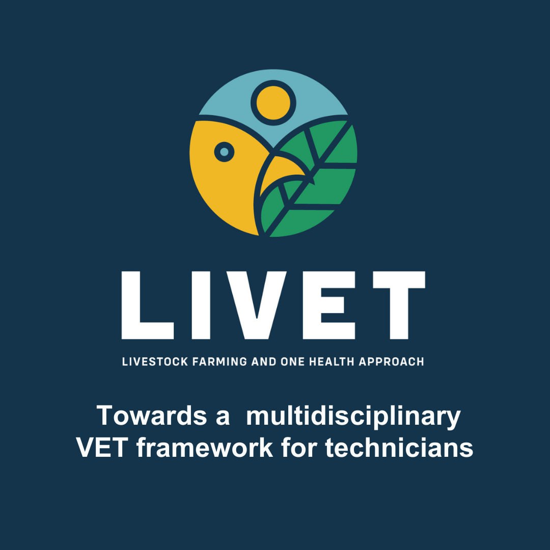 LIVETProject tweet picture