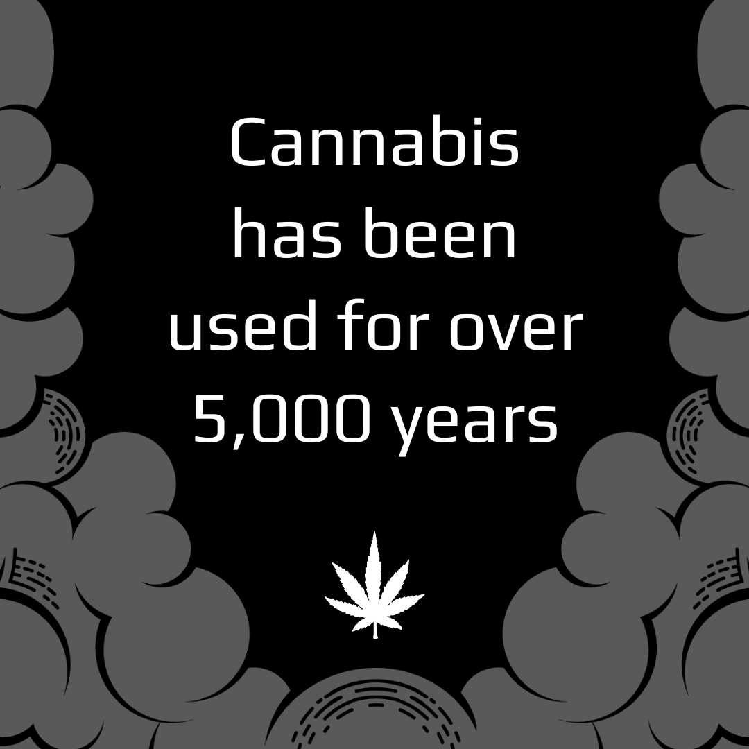 tokesthc's tweet photo. Did you know? #Cannabis has been used for centuries and was once prescribed by ancient Chinese physicians. From ancient wisdom to modern #highs, it's a #plant with a rich history! 🌿💨 #TOKE https://t.co/moVhEadXNe
