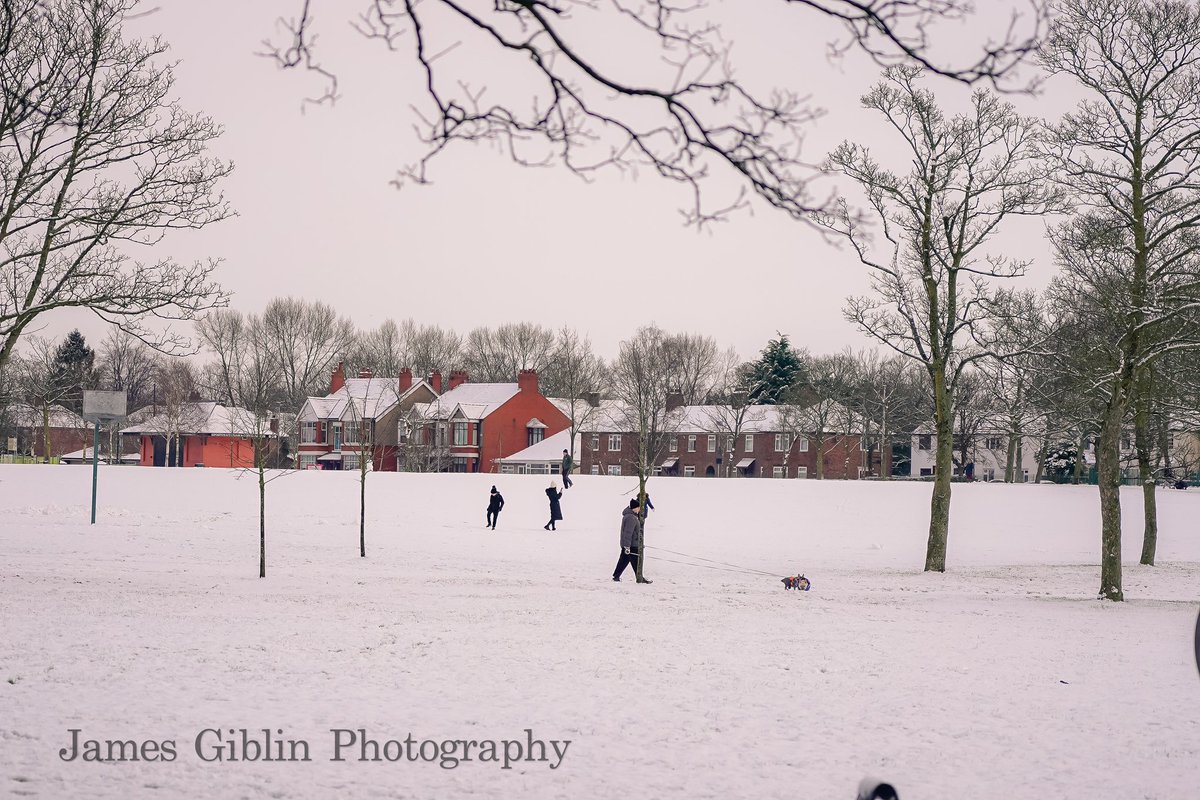 Snow day 16th January 2024! Victoria Park, Widnes. 

@LivEchonews @WidnesRuncornWN @runcornworld @cheshirelife @BBCNWT @GranadaReports @metoffice @HaltonBC @LpoolCityRegion