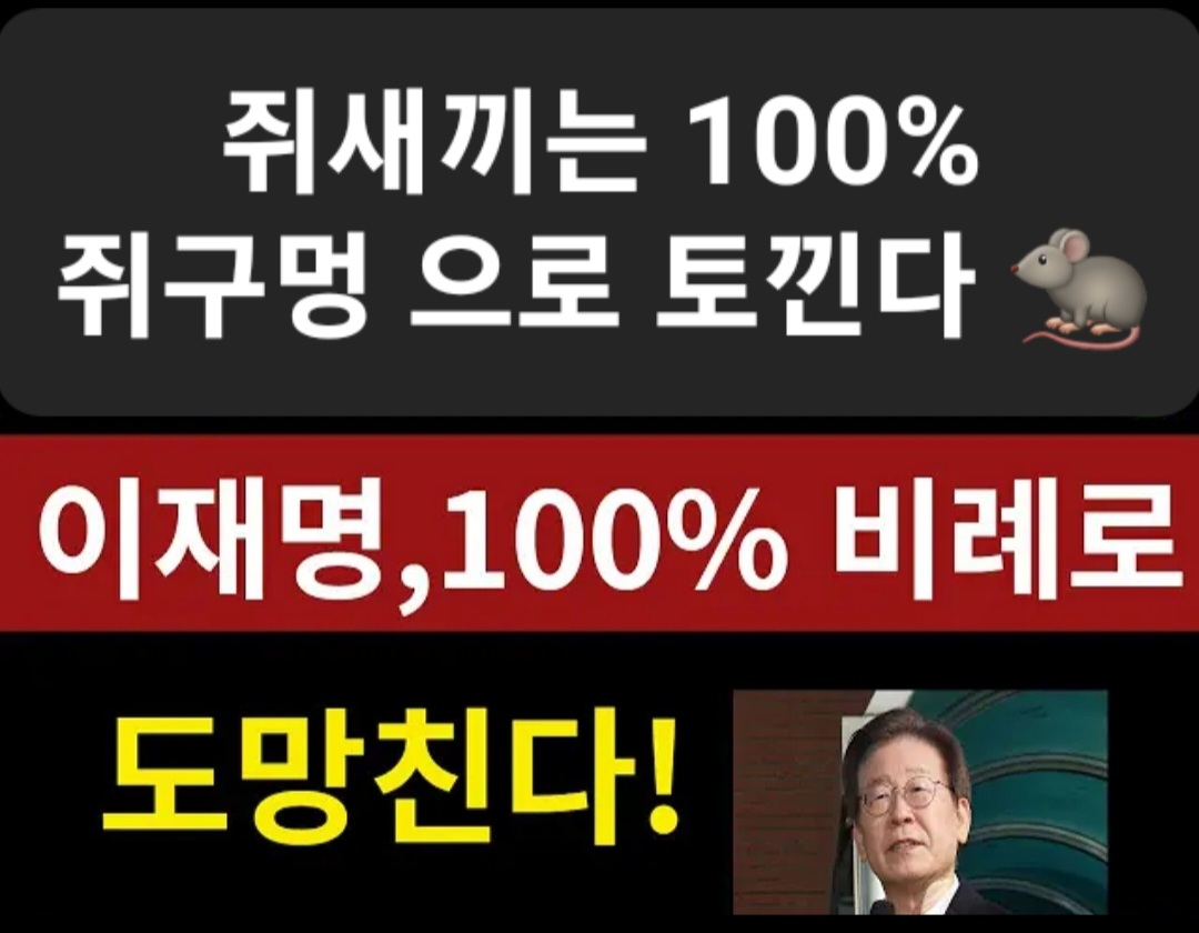 dolparinq5678's tweet photo. 쥐새끼는 100% 쥐구멍 (비례)
로 토낀다 🐀🐀🐀 https://t.co/yR8osKY3wm