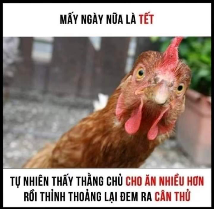 Ngô Lương Thanh Phụng (@phungngo259) on Twitter photo 