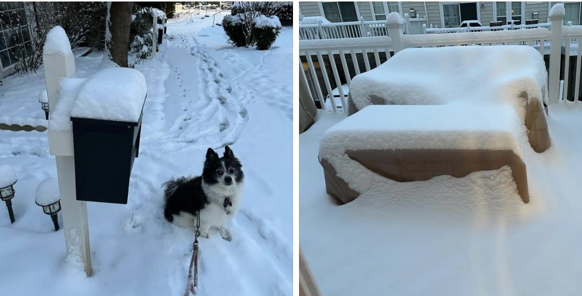 lisaontheradio's tweet photo. Morning walk with Riley and it’s a winter wonderland. First significant snowfall in the DMV in over 2 yrs and we’re loving it! What does it look like where you are? #snow #winter #winterwonderland #winterindc #WinterInTheDMV @BIG100Radio #SnowDroughtIsOver https://t.co/ILbs1u4ved
