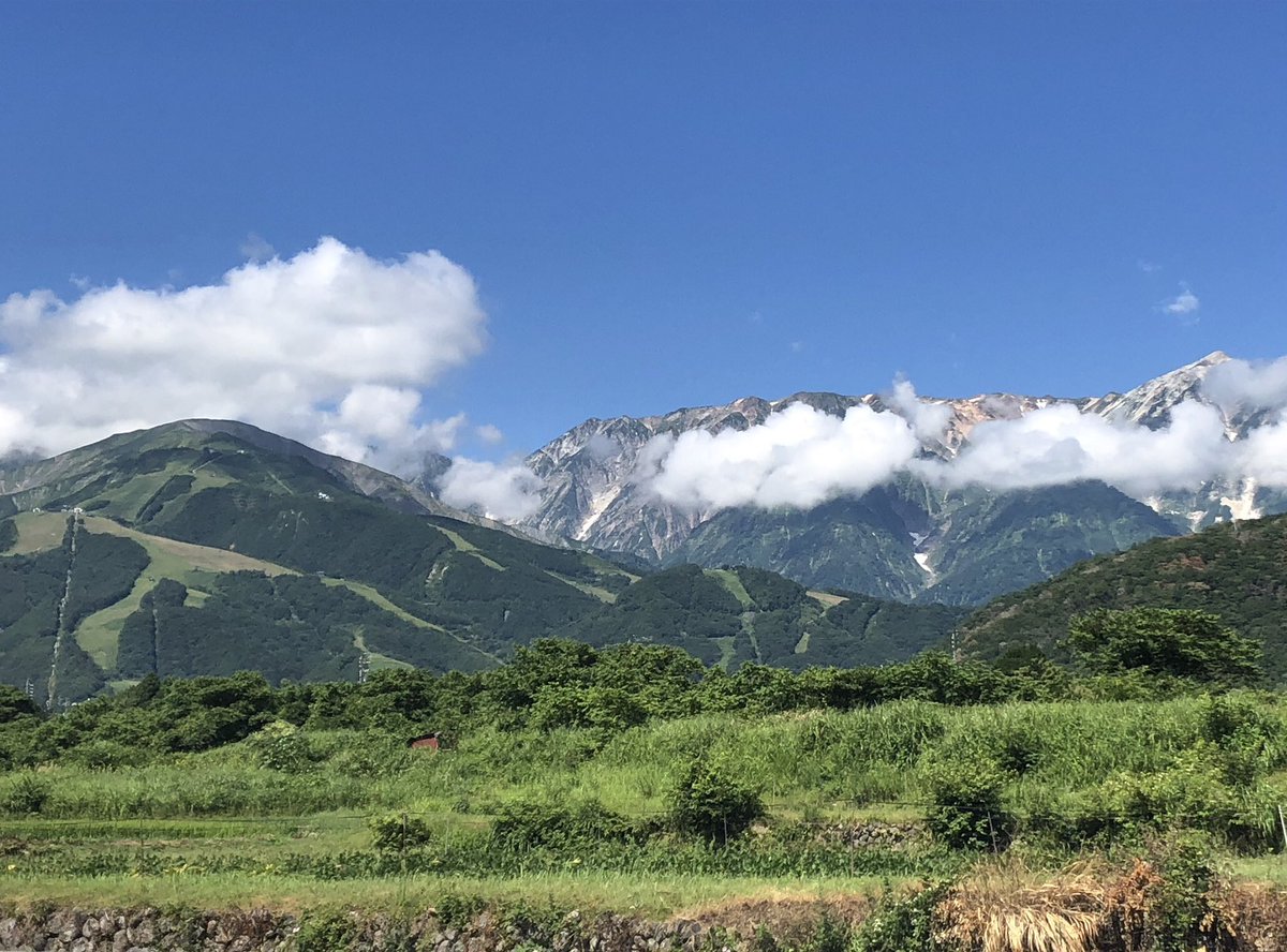 ぽんちゃん tweet media