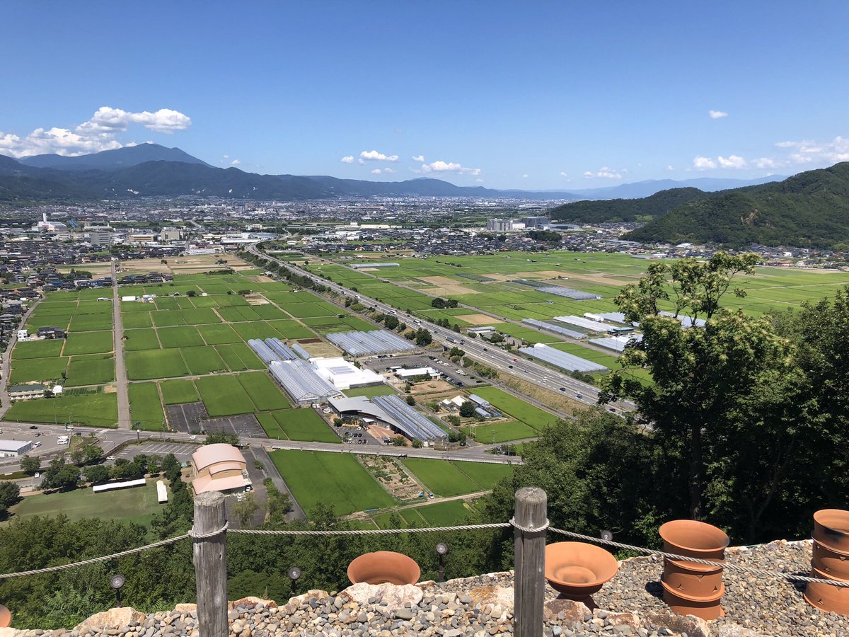 ぽんちゃん tweet media