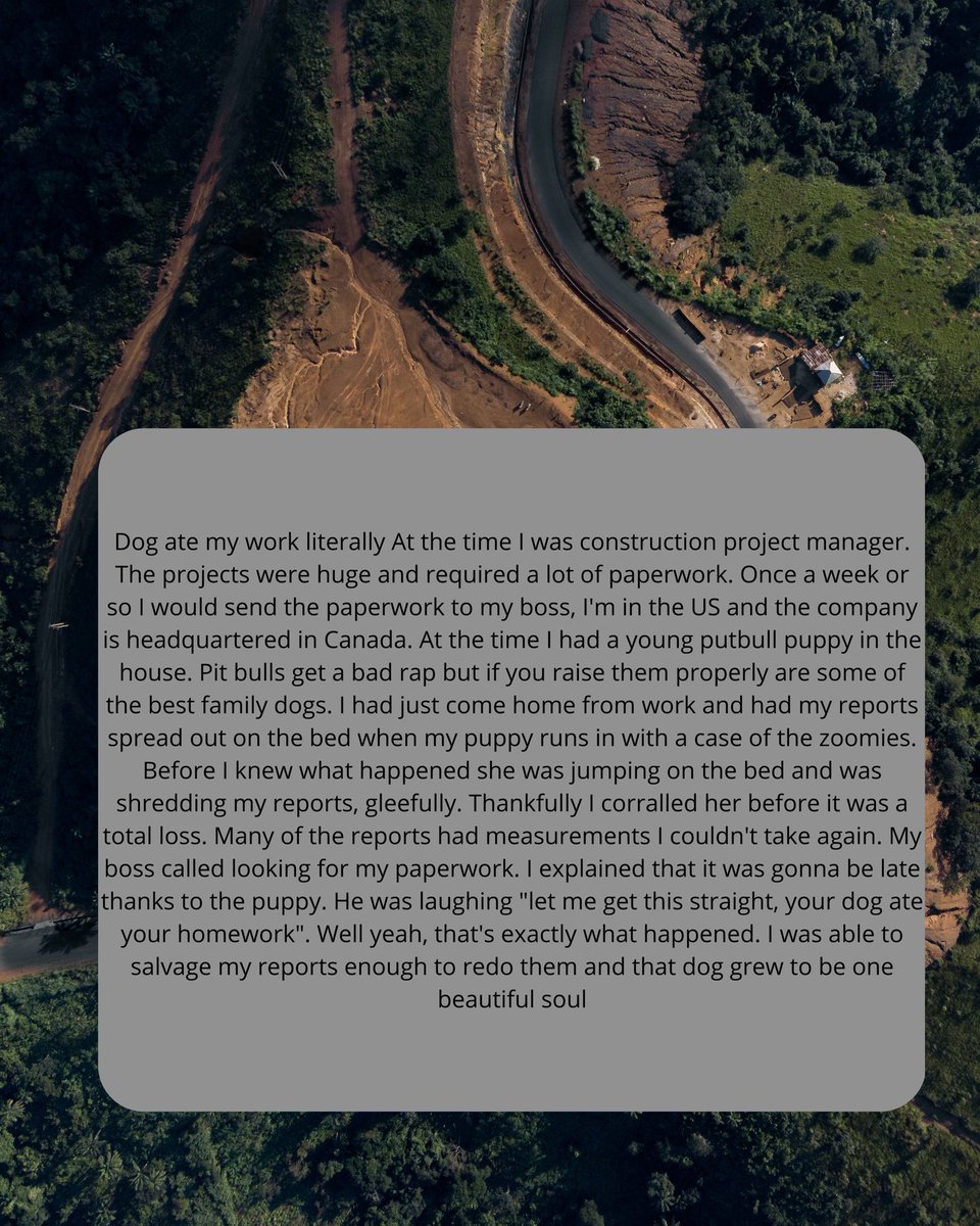 "Stories from Reddit" tweet media