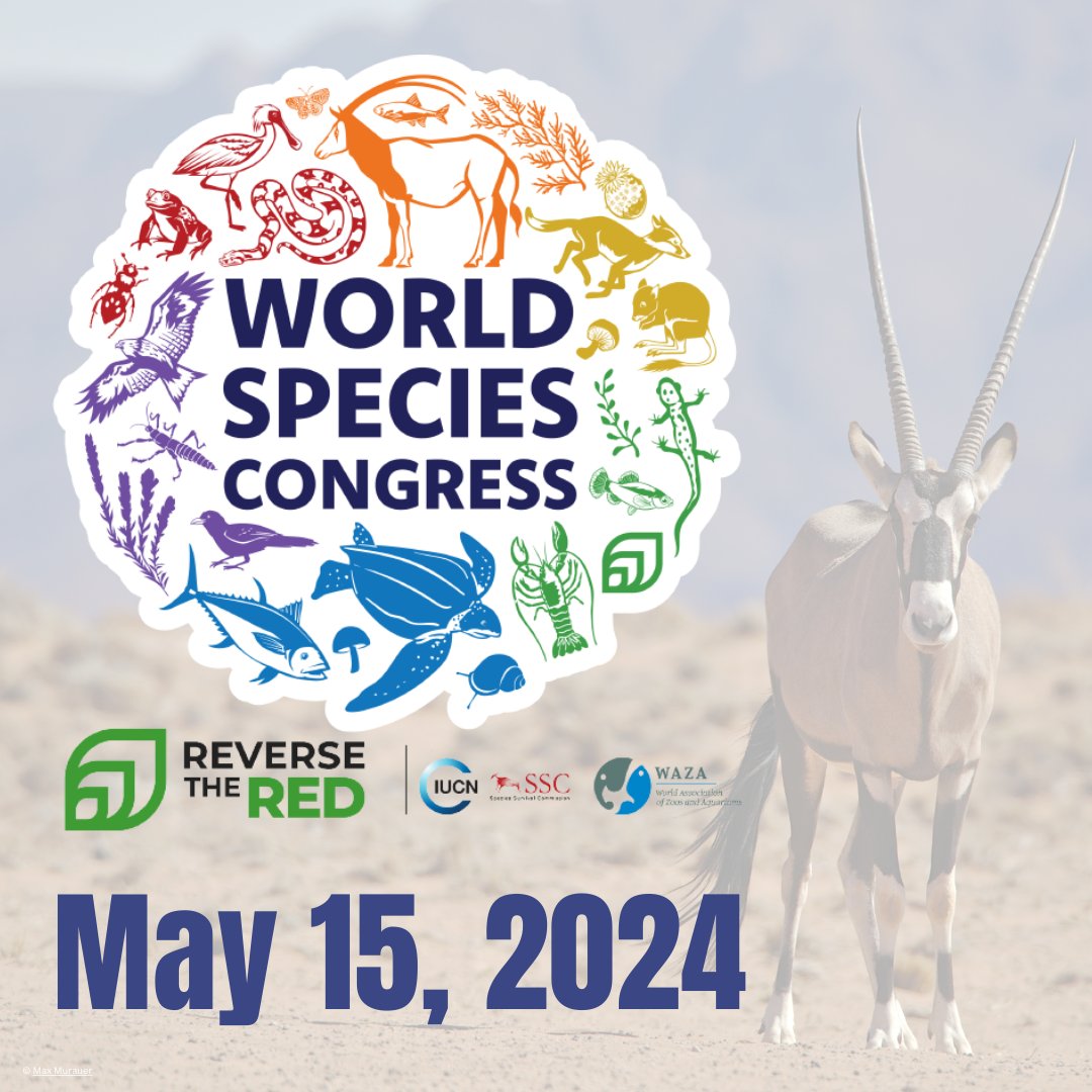 Reverse the Red is pleased to announce the first-ever #WorldSpeciesCongress to take place on 15 May 2024 as a fully virtual 24-hour gathering encouraging 100,000 commitments and actions towards species conservation. reversethered.org/news/world-spe…