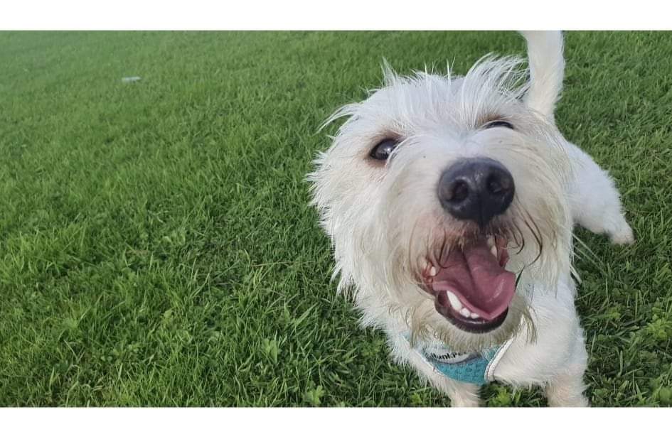 Look at this bundle of cuteness 🥺😍