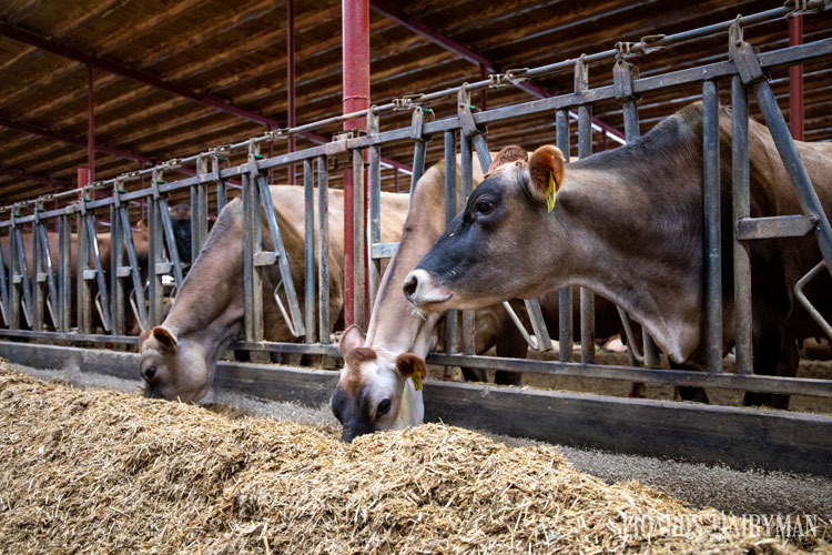 Hoard's Dairyman tweet media