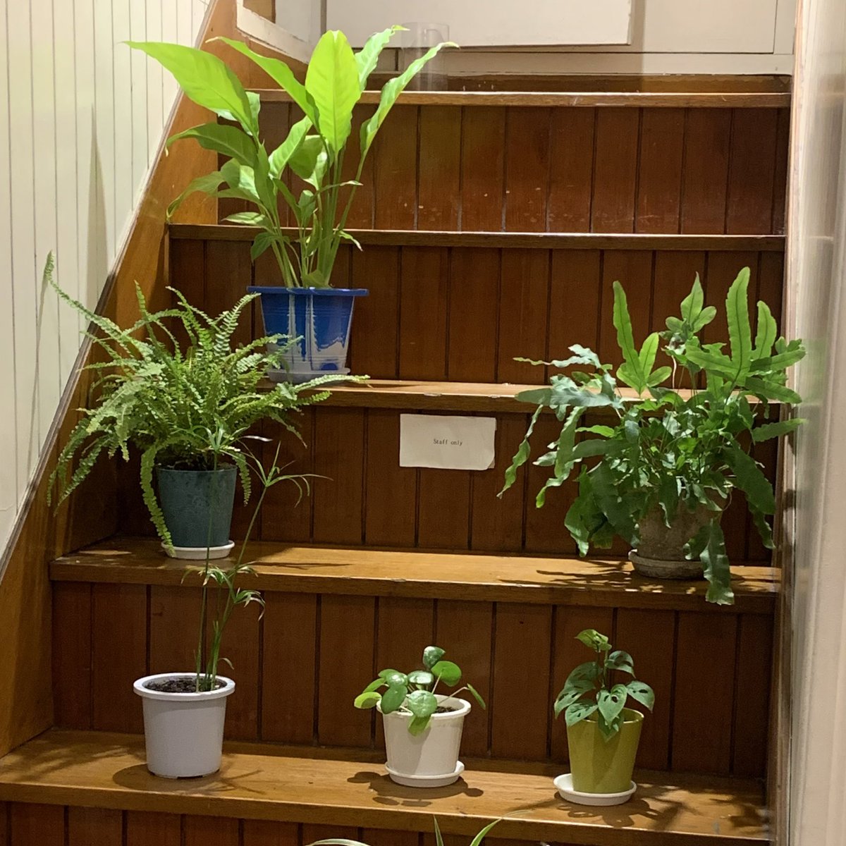 loveislo_ve's tweet photo. 초록초록☘️🌿🍀🌱 https://t.co/76a5RrMdnB