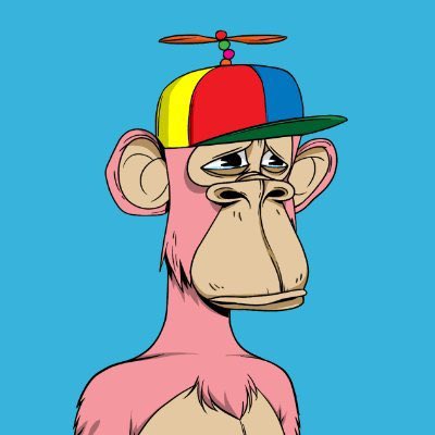 Directive Creator 🪥 tweet media