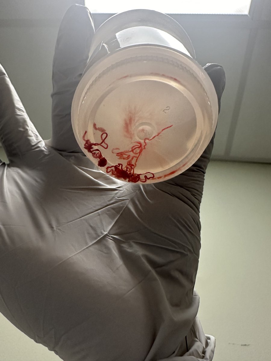 Erik Holzwanger, MD, ABOM-D tweet media