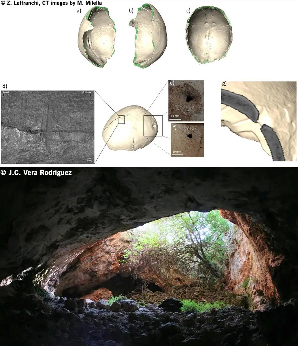 Cup made from prehistoric human skull discovered in Spanish cave

More information: archaeologymag.com/2023/09/cup-ma…
.
.
#archaeology #iberianpeninsula #anthropology