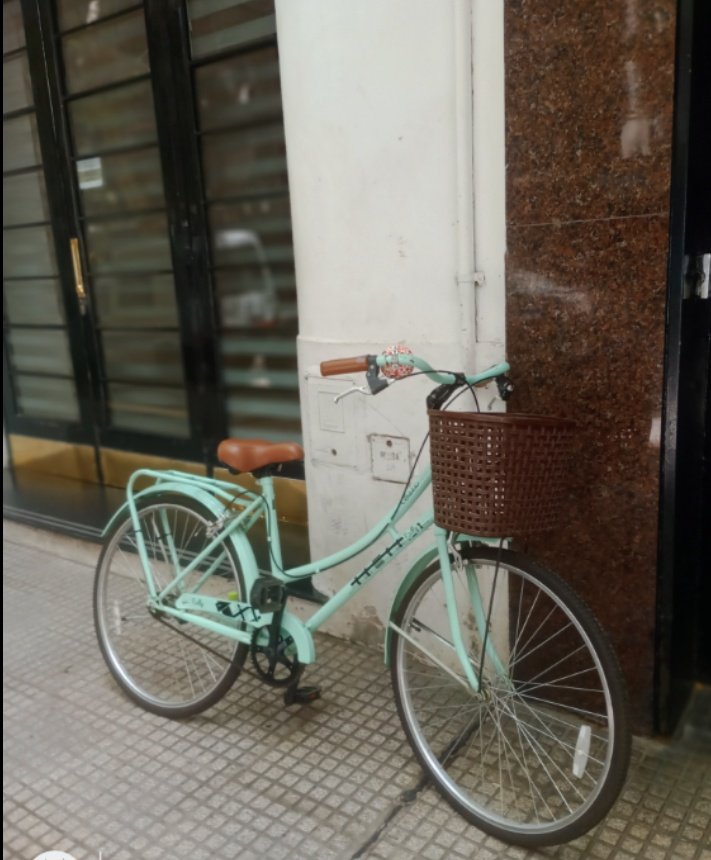 María José tweet media