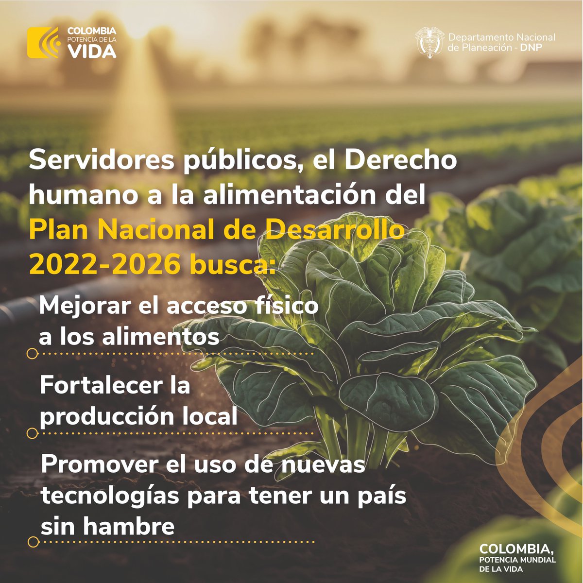DNP_Colombia's tweet photo. Si hace parte de una entidad, institución, organización o corporación pública, le invitamos a consular todo lo relacionado con el 'Derecho humano a la alimentación​', una de las transformaciones principales del PND.

 Conozca los detalles: https://t.co/9vSl8GAkcH #LaRutaDelCambio https://t.co/AQSQ28O3On