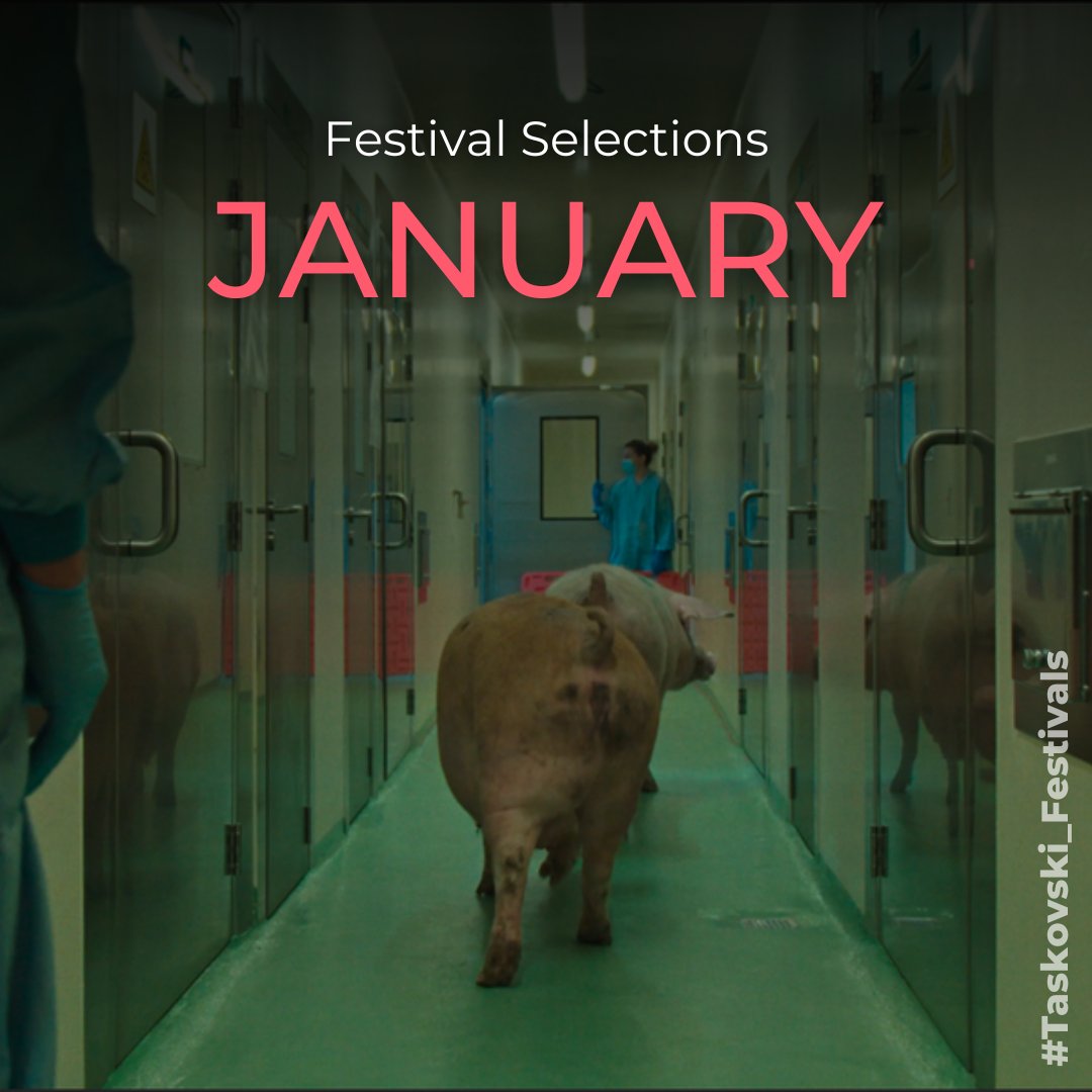TaskovskiFilms's tweet photo. ✨As January unfolds, so does a new chapter of our cinematic wonders! Dive into the magic of our latest documentary film festival selections for the month: https://t.co/hHljD11TqJ
#Taskovskifilms #premiere #filmpremiere #festivalscreenings #documentary #awardwinning https://t.co/zhuYprMAWq