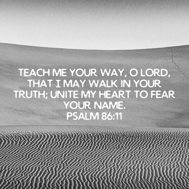 brad houchin (@houchinbrad) on Twitter photo 