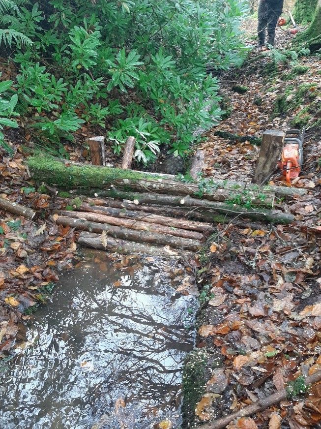DevonWildlife's tweet photo. DWT's #UpstreamThinking team have been helping create leaky dams at @NationalTrust Arlington Court, so the woodland can hold more water.

During periods of heavy rain, these areas provide #NaturalSolutions to reduce flooding and improve water quality downstream.

@SouthWestWater https://t.co/7IYd3OIUDm