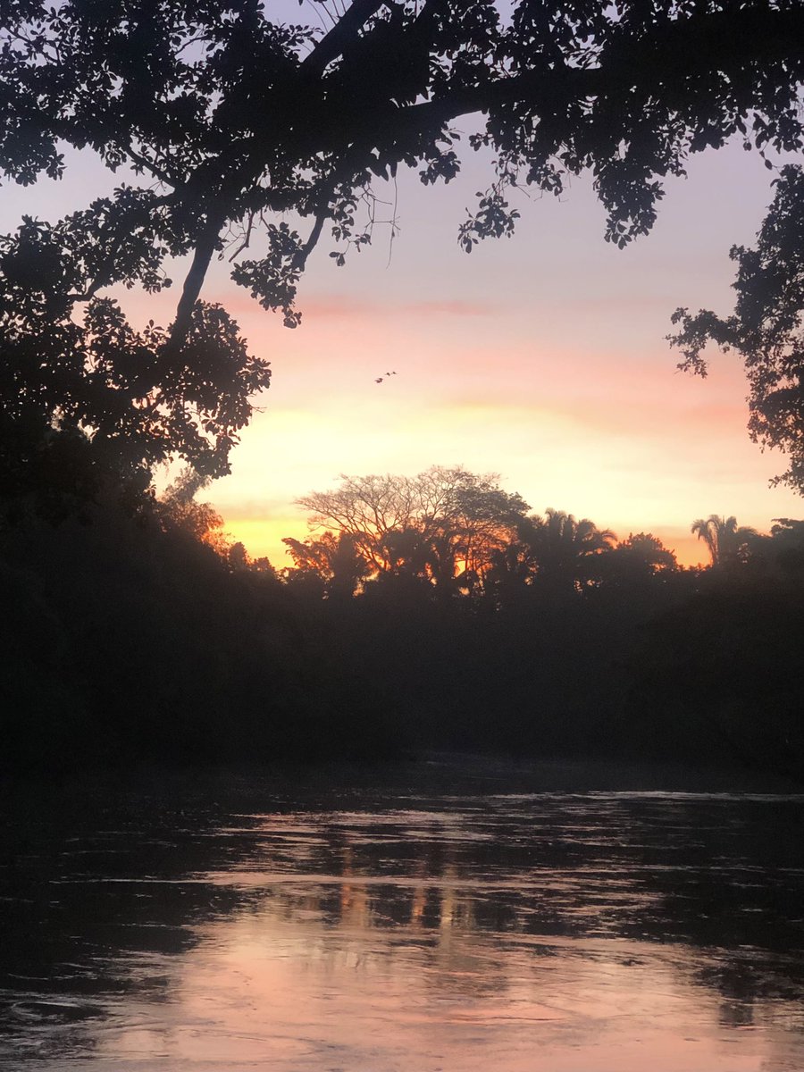 belizemonkey's tweet photo. Book your stay via our website:
https://t.co/mWj96GLy6c

#nocrowd #responsibletourism #nature #howlermonkeyresort
#howlermonkeynaturepark #beautiful #ecotourism #Belize https://t.co/0sv6dpJY7Q