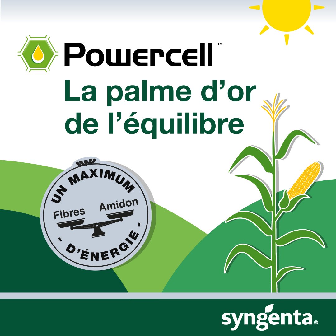 SyngentaFrance's tweet photo. [#Maïs🌽]

D'où provient l'excellente valeur énergétique de nos maïs Powercell™ ? ⚡

La gamme Powercell™ présente un profil équilibré, alliant un haut niveau en fibres digestibles et un haut niveau en amidon dégradable.

👉 https://t.co/BzyEeqGpPX

#maïs #équilibre #énergie https://t.co/6ZP80zn71F
