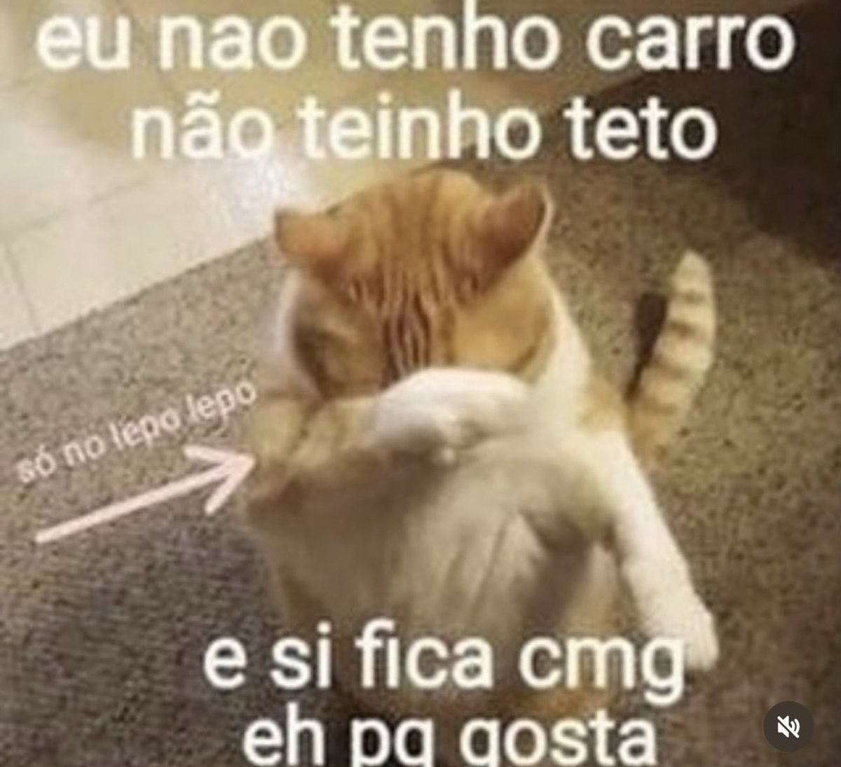 shitpostverdade's tweet photo. https://t.co/nSErrGsOYS