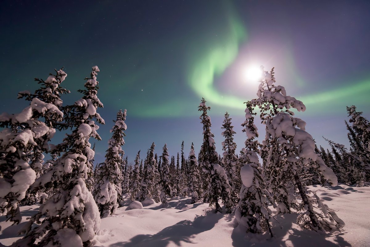 HypnoFlick tweet media