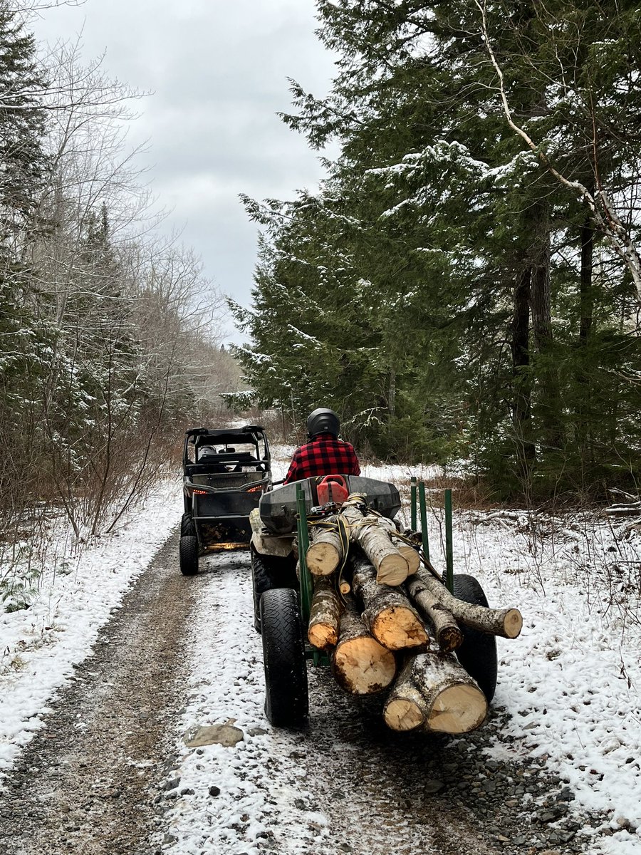 Over_theYardarm's tweet image. Despite the barber chairing, we got this down and sorted. #countryliving #sustainableforestry #freeheat #countrygym.