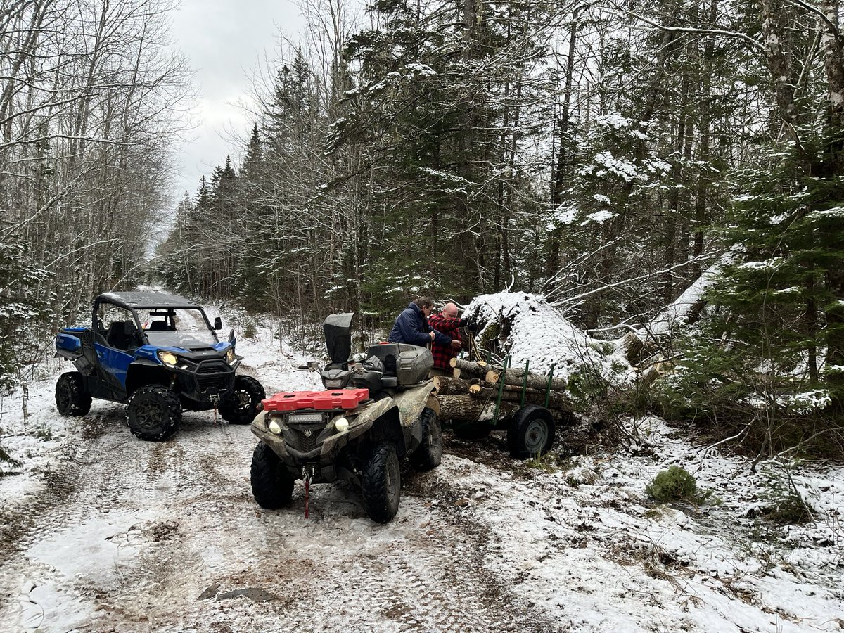 Over_theYardarm's tweet image. Despite the barber chairing, we got this down and sorted. #countryliving #sustainableforestry #freeheat #countrygym.