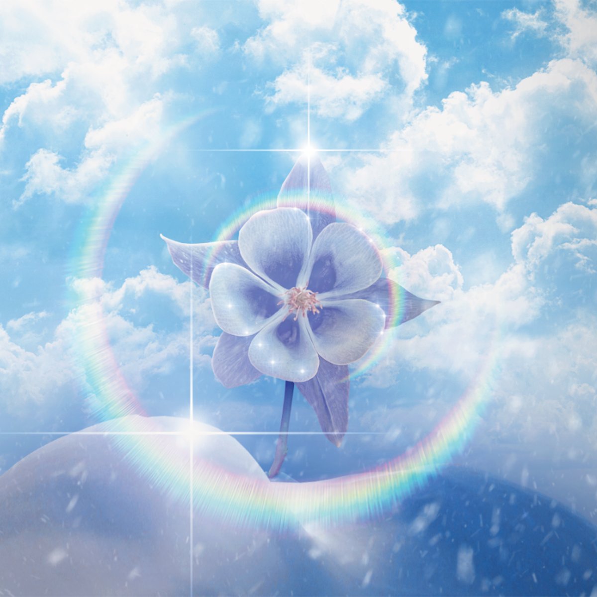 21pourcent_'s tweet photo. Voici les sorties francophones de ce vendredi ( 1/2 )

. R1luv - Pyromane
. Téma - Blizzard ( Interlude )
. 9biuu - Silentcore
. Naili - Juste, un pétale..
. Arven - Jeong Part.2
. Saamou Skuu - Nous c’est la TH, Vol. 3 https://t.co/hdl4gAUTSs