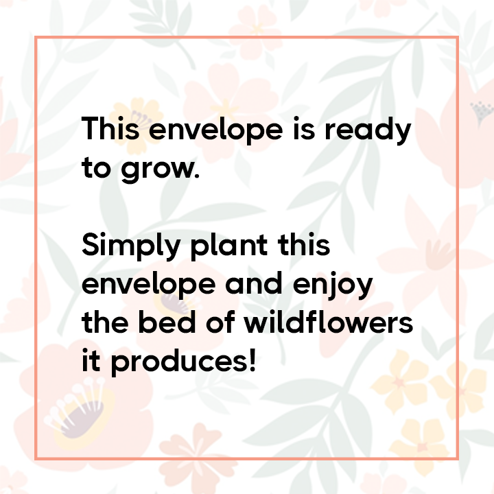 Jumbo Mail Marketing tweet media