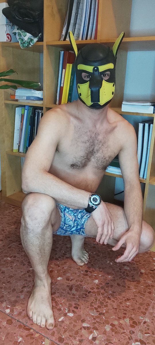 rianxeiro tweet media