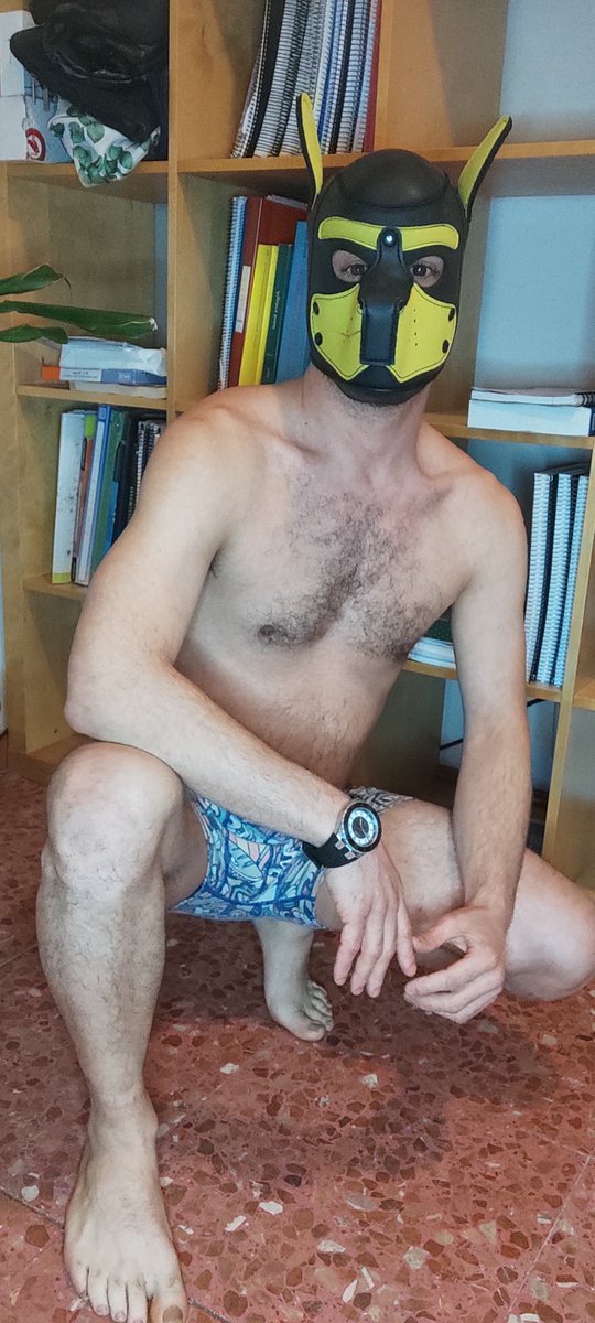 rianxeiro tweet media